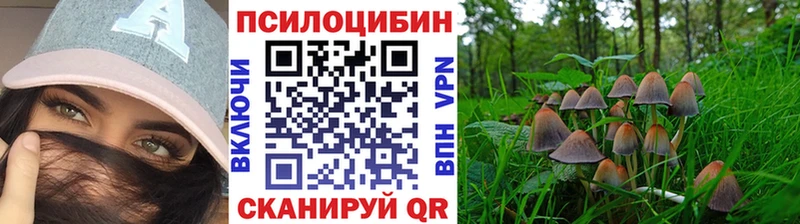 hydra tor  Данилов  Псилоцибиновые грибы мухоморы 